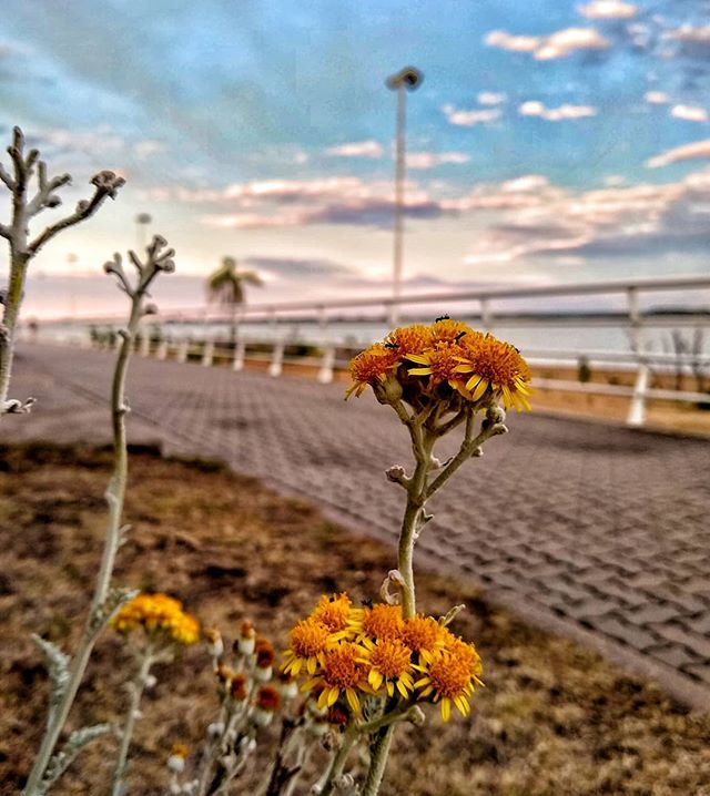 Usa el Hashtag y compartinos tu Foto en Concepción del Uruguay